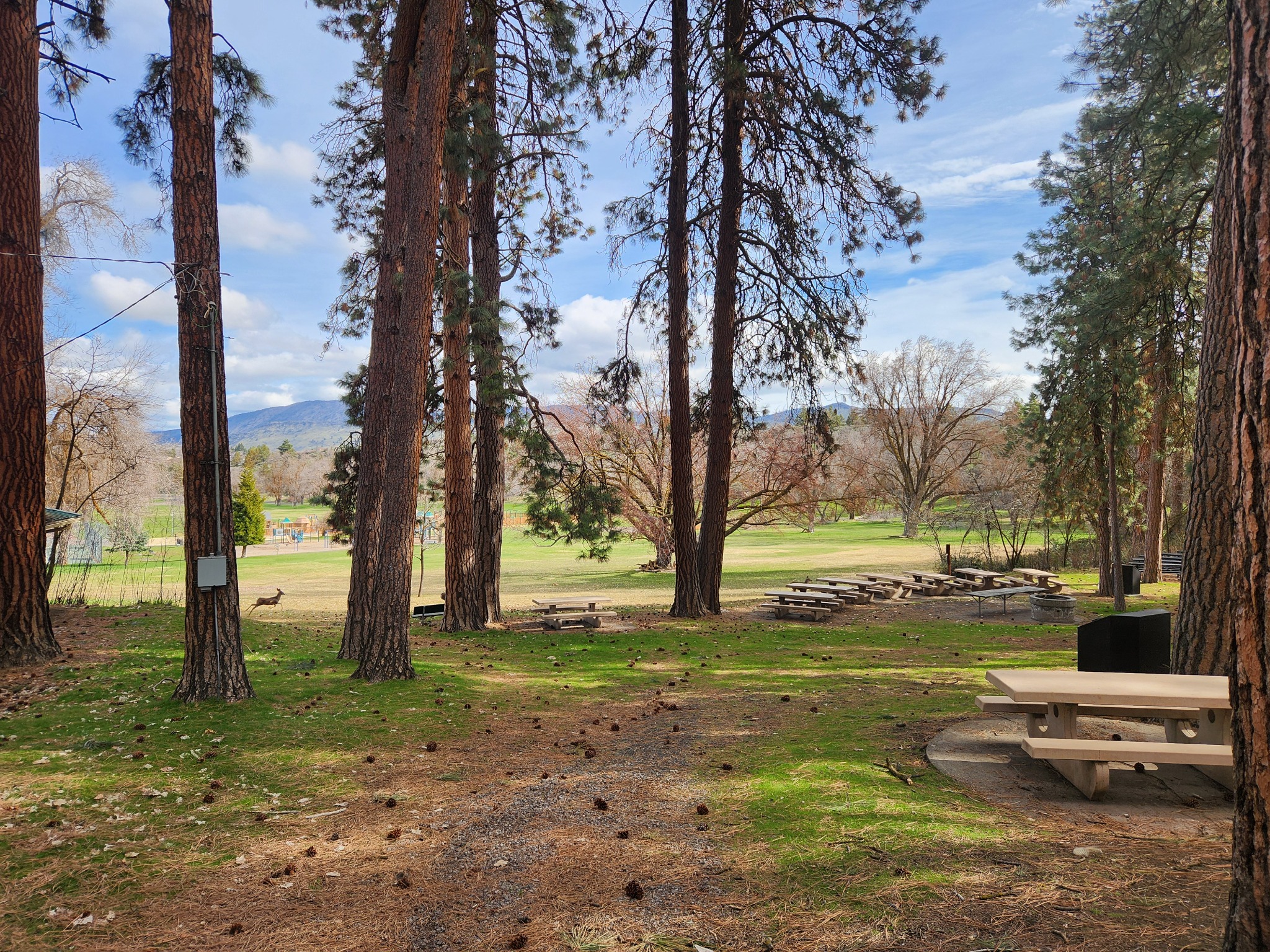 Link River Trail & Moore Park